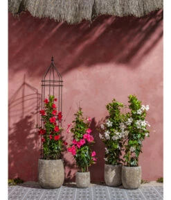 Dehner Premium Obelisk Odin 16 Dehner Premium Obelisk Odin -Gartenbedarfs Geschäft 2480069 2480093 2480119 WE MO 007 DehnerPremiumObeliskOdin