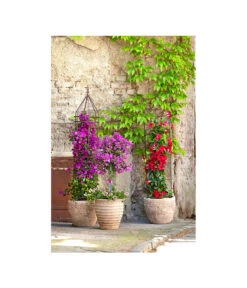 Dehner Premium Obelisk Odin 18 Dehner Premium Obelisk Odin -Gartenbedarfs Geschäft 2481976 2481596 2481927 WE MO 001 DehnerHalbobelisk