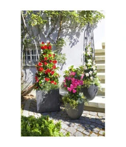 Dehner Polystone-Topf Brisbane In Riffeloptik, Rund -Gartenbedarfs Geschäft 3158847 3158870 3158888 3158995 3159092 3159126 WE MO 004 PolystoneTopfinRiffeloptikrundsand