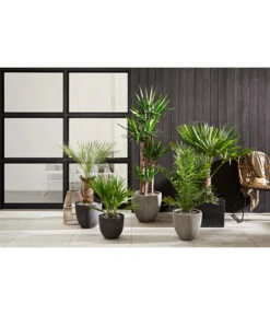 Dehner Polystone-Topf Brisbane In Riffeloptik, Rund -Gartenbedarfs Geschäft 3158847 3158870 3158888 WE MO 002 PolystoneTopfinRiffeloptikrundsand