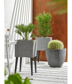 Dehner Polystone-Topf Brisbane In Riffeloptik, Rund -Gartenbedarfs Geschäft 3158847 3158870 3158888 WE MO 005 PolystoneTopfinRiffeloptik