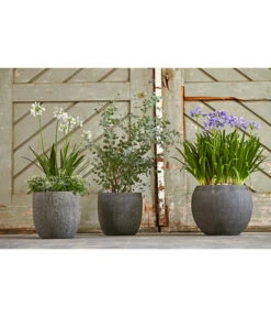 Dehner Polystone-Topf Kapstadt, Rund, Grau -Gartenbedarfs Geschäft 3207990 3208022 WE MO 002 DehnerPolystoneTopfbauchiggrau