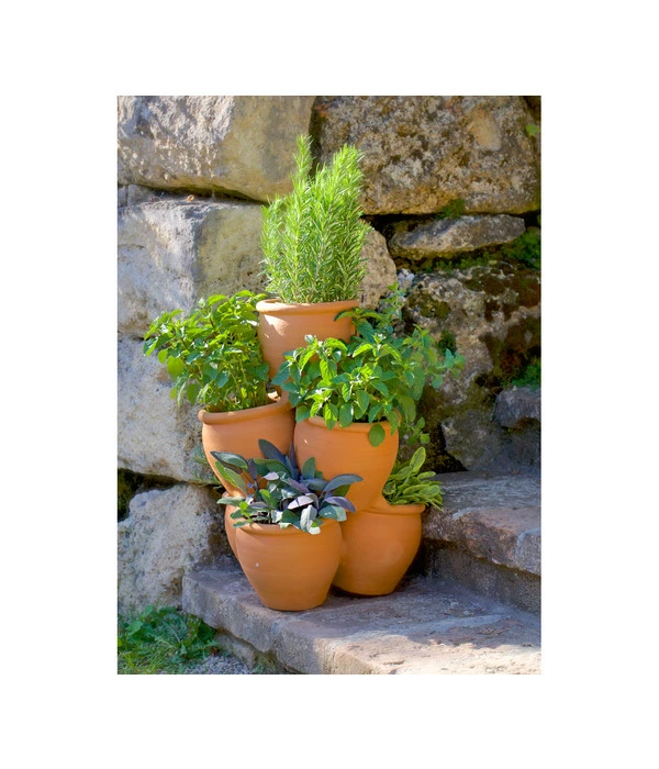 Dehner Terrakotta Kräuter-Etagere, Ca. Ø35/H47 Cm – Bild 2