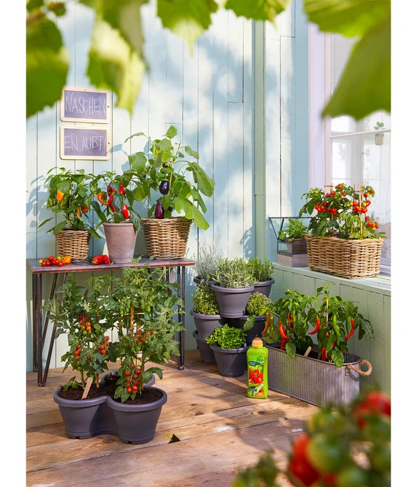 Van Der Leeden Rattan-Pflanzkasten, Graubraun 6 Van Der Leeden Rattan-Pflanzkasten, Graubraun – Bild 6