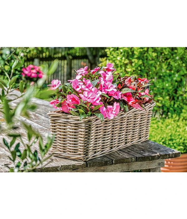 Van Der Leeden Rattan-Pflanzkasten, Graubraun 2 Van Der Leeden Rattan-Pflanzkasten, Graubraun – Bild 2