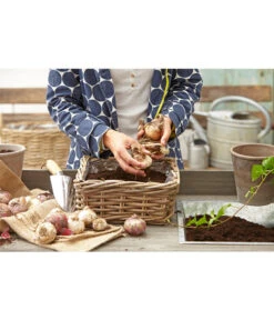 Van Der Leeden Rattan-Pflanzkasten, Graubraun 15 Van Der Leeden Rattan-Pflanzkasten, Graubraun -Gartenbedarfs Geschäft 3692761 3692548 3692506 WE MO 008 RattanPflanzkastenbraunBlumenkasten