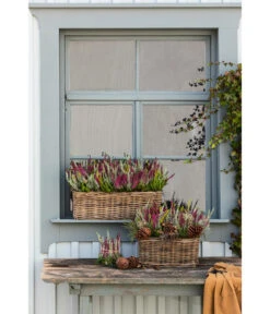 Van Der Leeden Rattan-Pflanzkasten, Graubraun 18 Van Der Leeden Rattan-Pflanzkasten, Graubraun -Gartenbedarfs Geschäft 3692761 3692548 3692506 WE MO 014 RattanPflanzkastenbraun