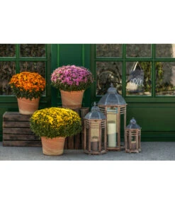 Spang Terrakotta-Topf Toscana, Rund -Gartenbedarfs Geschäft 3697612 WE MO 003 TerrakottaTopfToscana