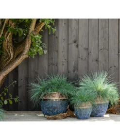 Dehner Keramik-Topf Mystras, Rund, Blau-braun -Gartenbedarfs Geschäft 4441317 4441341 4441408 WE MO 002 DehnerKeramikTopfMystrasrundblaubraun