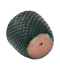 Dehner Keramik-Topf Elite -Gartenbedarfs Geschäft 6705461 6505479 6705487 WE DE 001 Keramikpflanztopf Elite