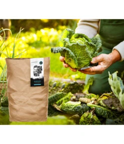 Gartenbedarfs Geschäft -Gartenbedarfs Geschäft 6730873 WE MO 001 MoolaPflanzenkohle