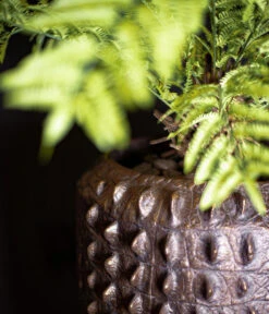 Fleur Ami Kunststoff-Topf Croc, Konisch, Bronze, Ca. Ø47/H56 Cm -Gartenbedarfs Geschäft 6758999 WE MO 002 FleurAmiPflanzgefaessCroc