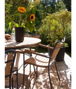 Cinas Stapelstuhl Ellen -Gartenbedarfs Geschäft 6843569 WE MO 002 EllenArmlehnstuhl