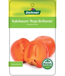 Dehner Kaki 'Rojo Brillante' - Kaki-Pflaume 'Rojo Brillante' -Gartenbedarfs Geschäft 7167414 KakiRojoBrillante Etikett 01