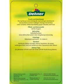 Aprikose 'Compacta' -Gartenbedarfs Geschäft 7626021 AprikoseCompacta Etikett 2