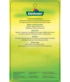 Kirschen-Duo 'Regina/Napoleon' -Gartenbedarfs Geschäft 7738792 Suesskirschen DuoReginaNapoleon Etikett 2