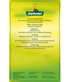 Zwetschge 'Kulinaria-Toptaste' -Gartenbedarfs Geschäft 7763881 ZwetscheKulinariaToptaste Etikett 2