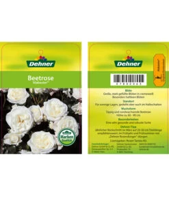 Edelrosen-Mix 'Nostalgie®' -Gartenbedarfs Geschäft 7800063 AlabasterBeetrose Etikett1