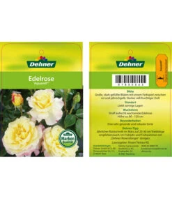Edelrosen-Mix 'Nostalgie®' -Gartenbedarfs Geschäft 7800063 AquarellEdelrose Etikett1
