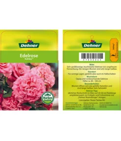 Edelrosen-Mix 'Nostalgie®' -Gartenbedarfs Geschäft 7800063 AshleyEdelrose Etikett1