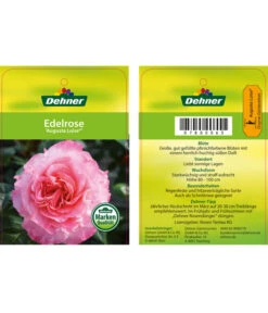 Edelrosen-Mix 'Nostalgie®' -Gartenbedarfs Geschäft 7800063 AugustaLuiseEdelrose Etikett1