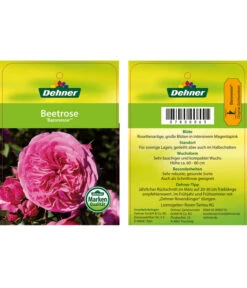 Edelrosen-Mix 'Nostalgie®' -Gartenbedarfs Geschäft 7800063 BaronesseBeetrose Etikett1