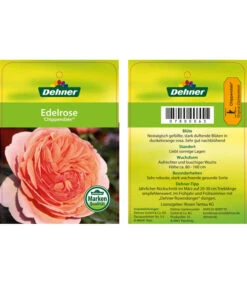 Edelrosen-Mix 'Nostalgie®' -Gartenbedarfs Geschäft 7800063 ChippendaleEdelrose Etikett1
