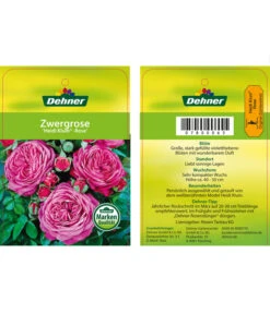 Edelrosen-Mix 'Nostalgie®' -Gartenbedarfs Geschäft 7800063 HeidiKlumZwergrose Etikett1
