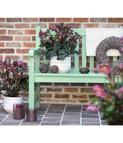 Schneerose 'Ice N' Roses® Red' - Helleborus Gold Collection® -Gartenbedarfs Geschäft 8010969 WE MO 001 HelleborusWeinrotDehnerExpressHerzig