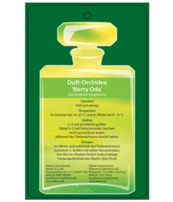 Duft-Traubenorchidee - Dendrobium Kingianum 'Berry' 7 Duft-Traubenorchidee - Dendrobium Kingianum 'Berry' -Gartenbedarfs Geschäft 8250714 DuftorchideeBeryyOdaEtikett2