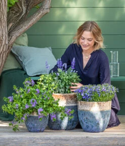 Dehner Keramik-Topf Mystras, Rund, Blau-braun -Gartenbedarfs Geschäft 8811143 WE MO 001 BlaueMauritius