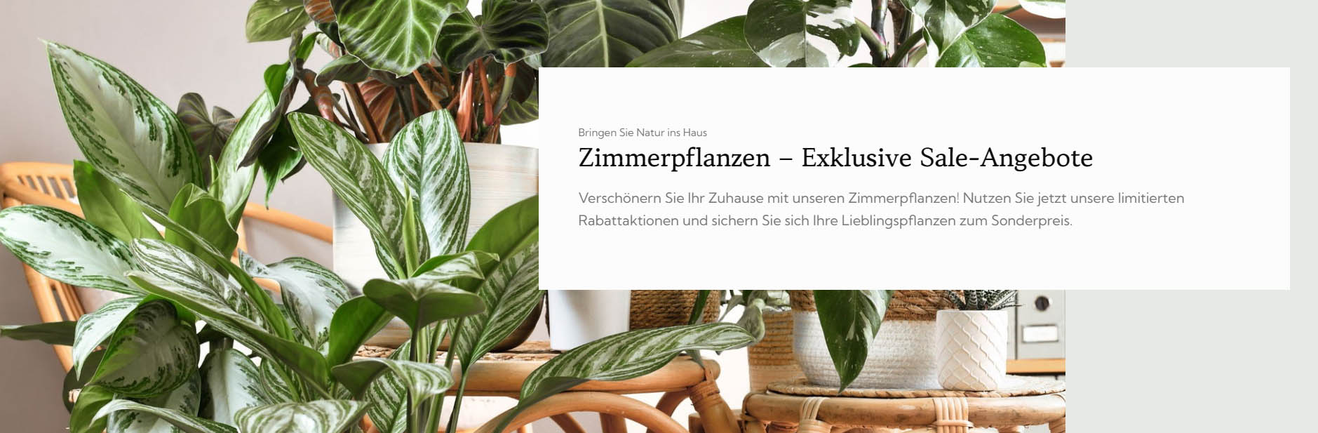 Gartenbedarfs Geschäft -Gartenbedarfs Geschäft FGHJFGH